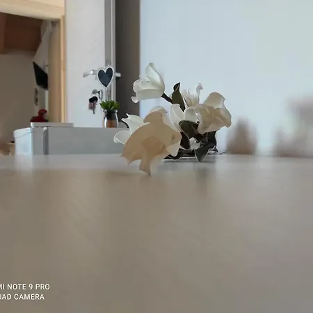 ゲストハウス Le Di Gino *